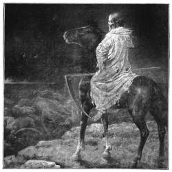 Sheidim : Amidst the Ashes of Consciousness - In the Light of the Dying Stars